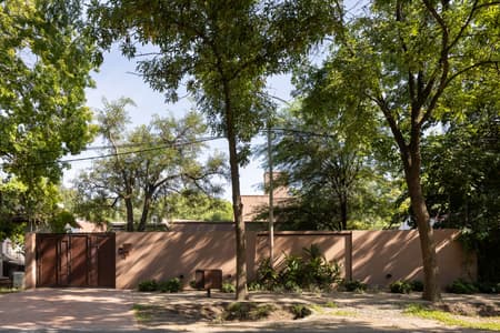 House around the Tree